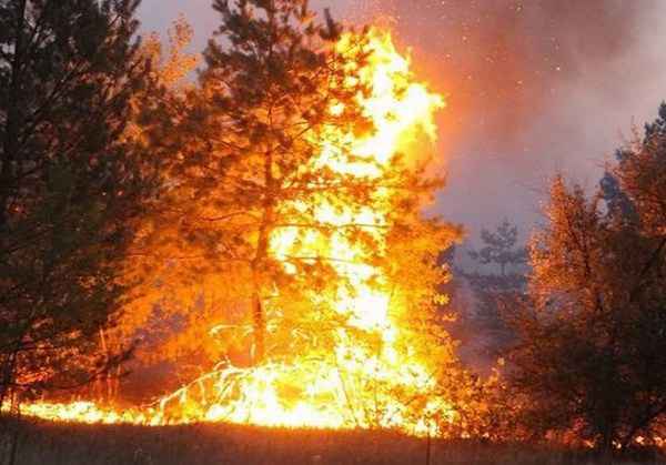 Масштабный пожар в Макеевке 3 сентября 2020 года
